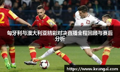 333体育官网